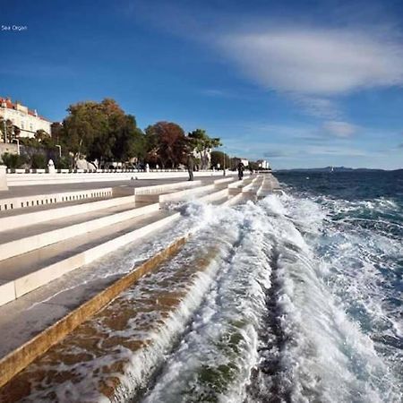 Reza Luxury Apartment Zadar Exteriör bild